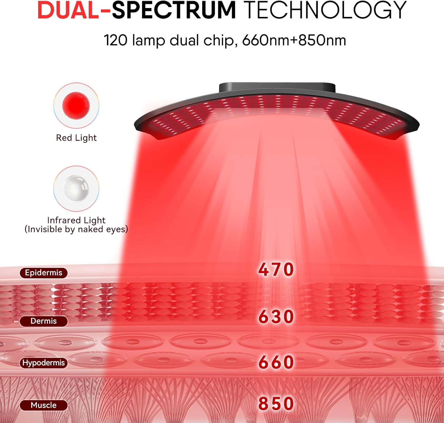 赤色光療法パネル、調整可能なスタンド付き、デュアルチップ66 - Red Light Therapy Panel 660 850 のレビューと価格