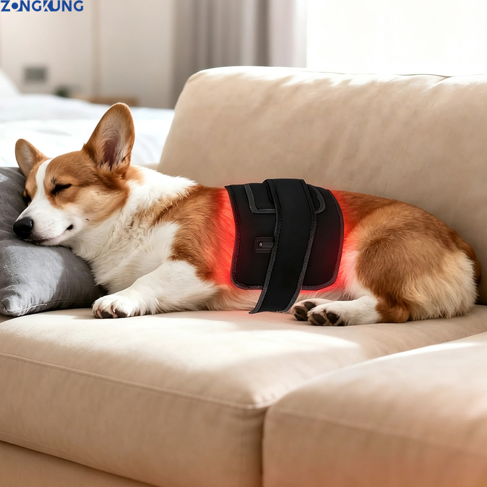 ペット用赤色光療法装置 ハンドヘルド赤外線ライト 660nm - Red Light Therapy Panel 660 850 のレビューと価格