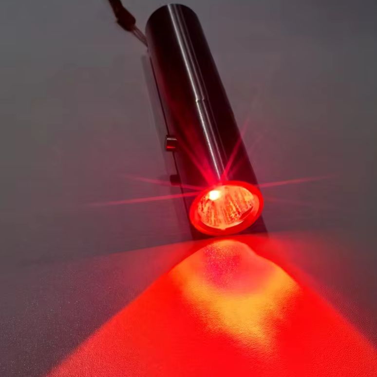 赤色光療法用ライト 850nm 赤外線LED懐中電灯 630 - Red Light Therapy Torch 660Nm のレビューと価格